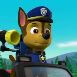 paw patrol chase 汪汪队阿奇