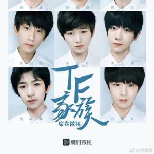 tf家族