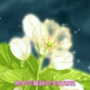 小花仙【梵音】