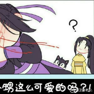 魔道祖师金凌蓝思追